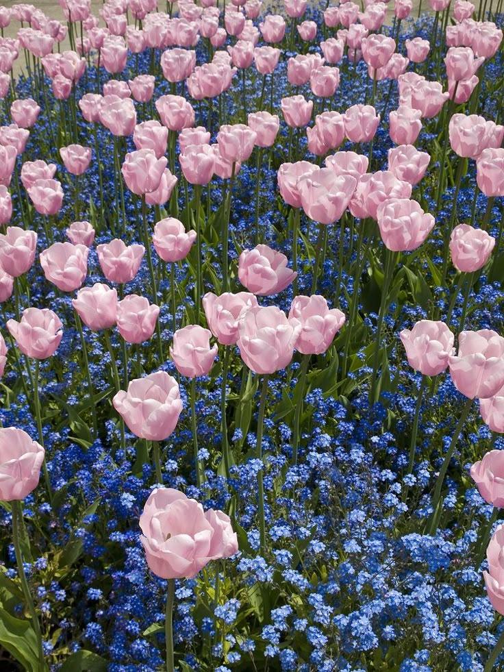 Enchanted Garden Floral Symphony